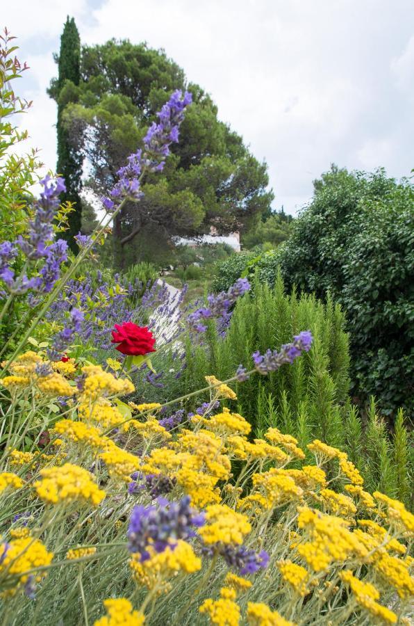 Апартаменты Milica Garden Првич Шепурине Экстерьер фото