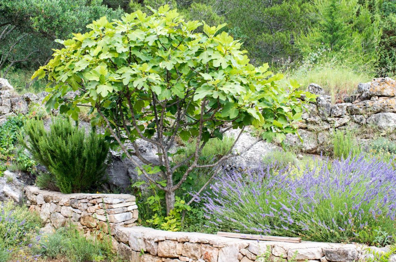 Апартаменты Milica Garden Првич Шепурине Экстерьер фото